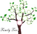 tree, family, education-1951473.jpg